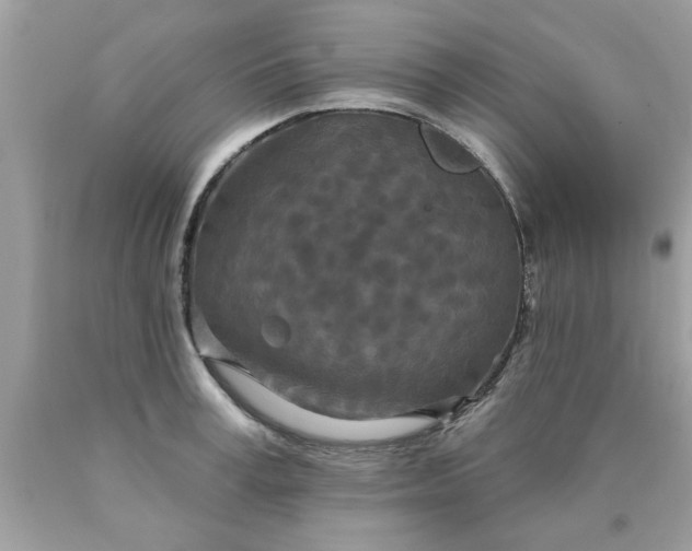 X0000090500995200707272358