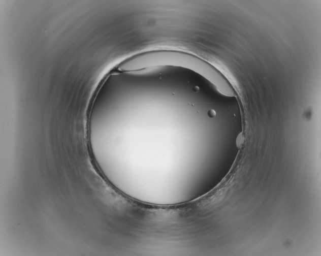 X0000090500996200707272358