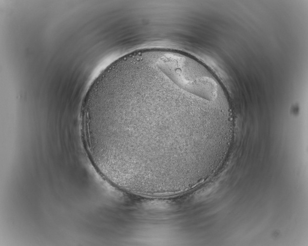 X0000090500998200707272358