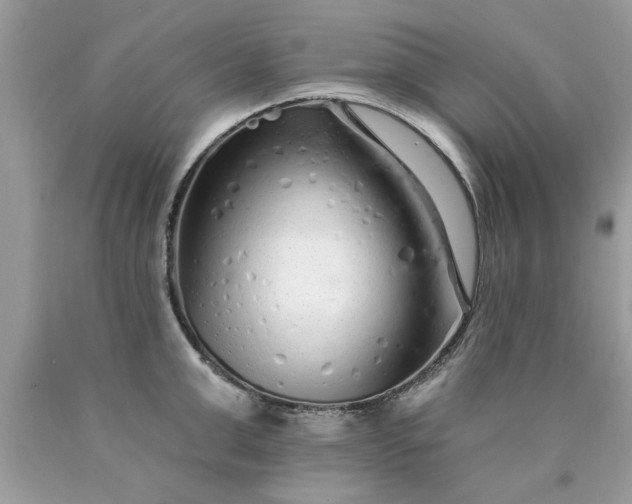 X0000090500999200707272358