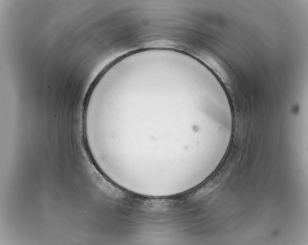 X0000090501000200707272358