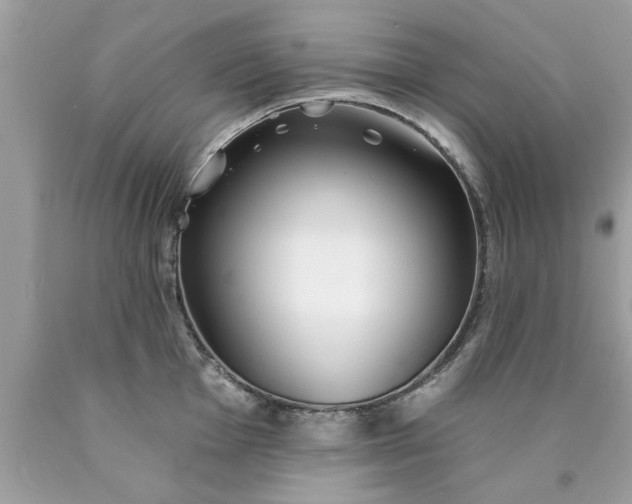 X0000090501001200707272357