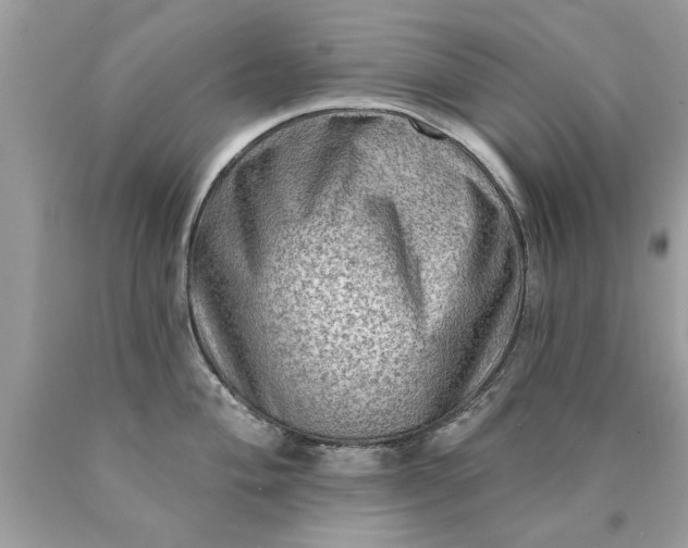 X0000090501004200707272357