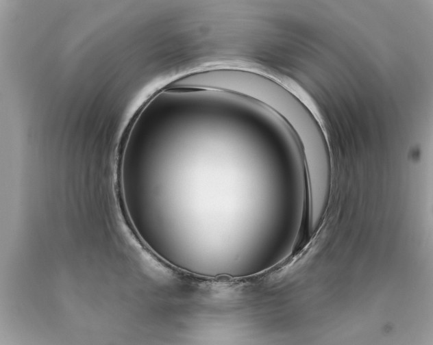 X0000090501005200707272357