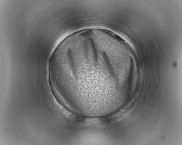 X0000090501006200707272357