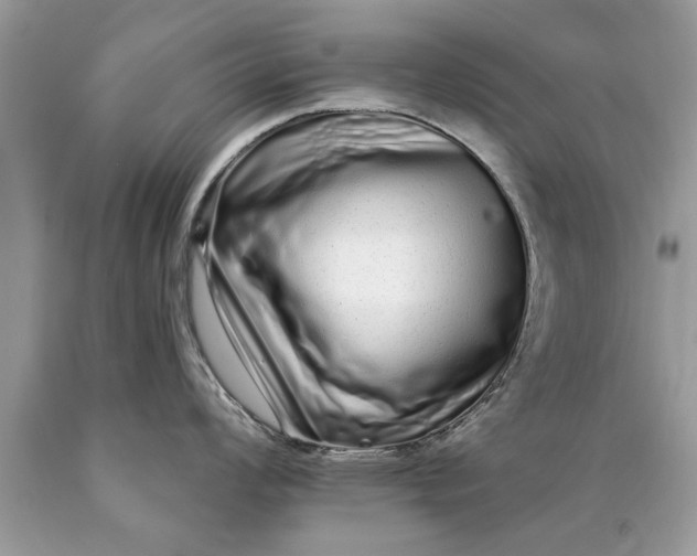 X0000090501008200707272357