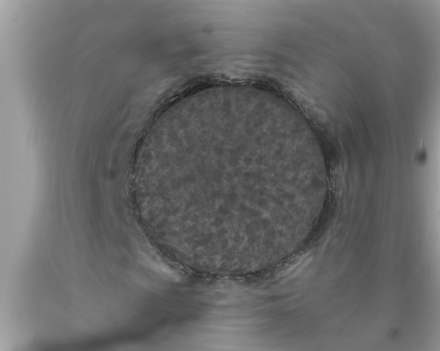 X0000090501009200707272357