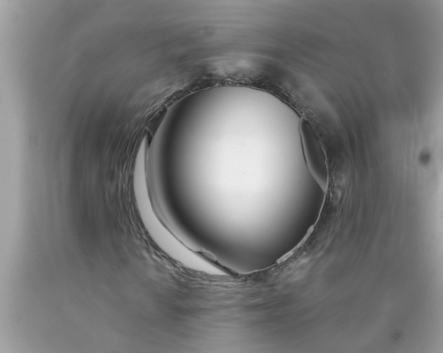 X0000090501010200707272357