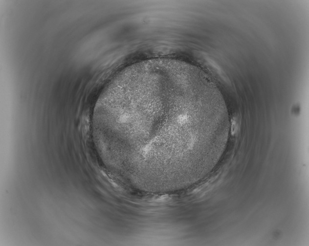 X0000090501011200707272357