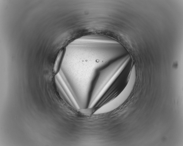 X0000090501012200707272357