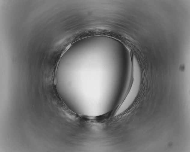 X0000090501014200707272357