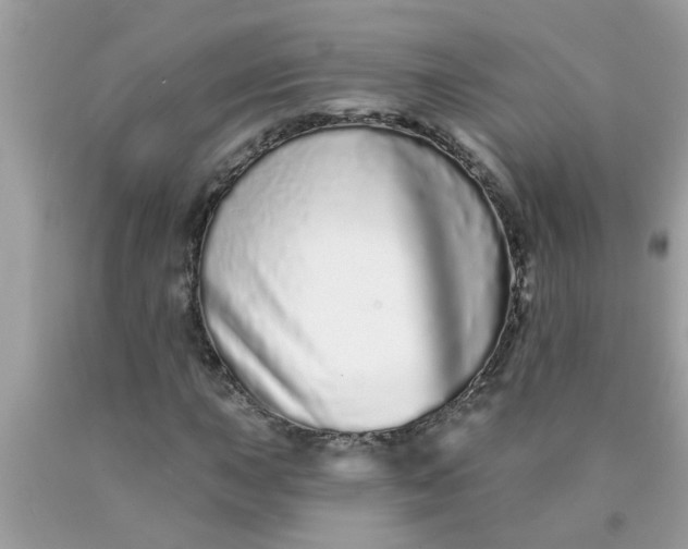 X0000090501015200707272357