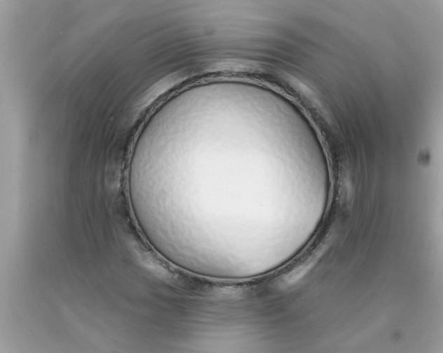 X0000090501017200707272357