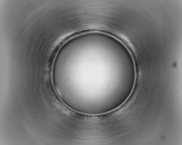 X0000090501019200707272357