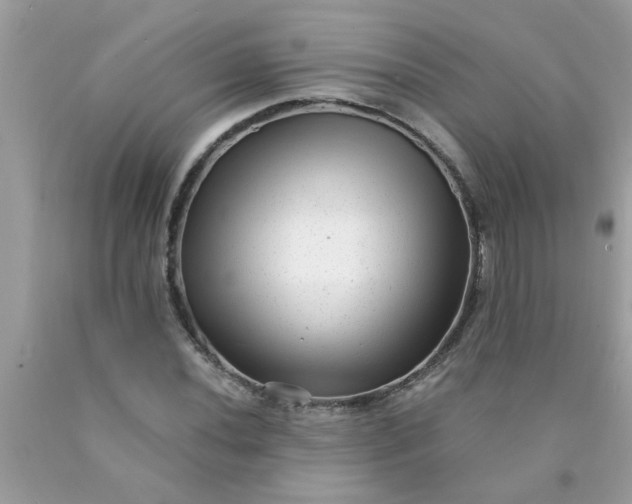 X0000090501020200707272357