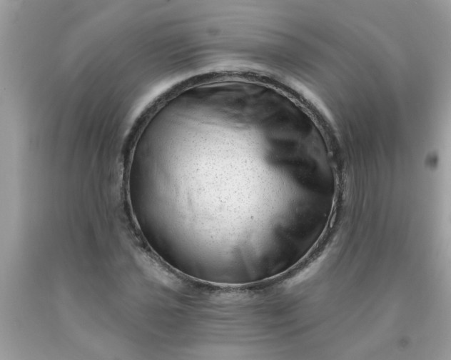 X0000090501021200707272357