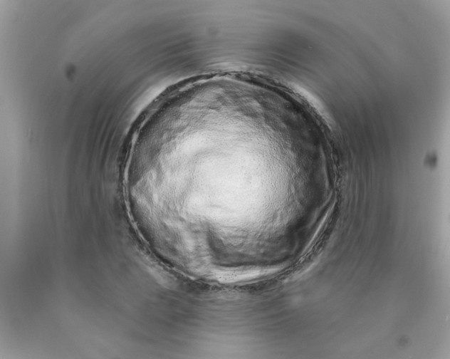 X0000090501023200707272357