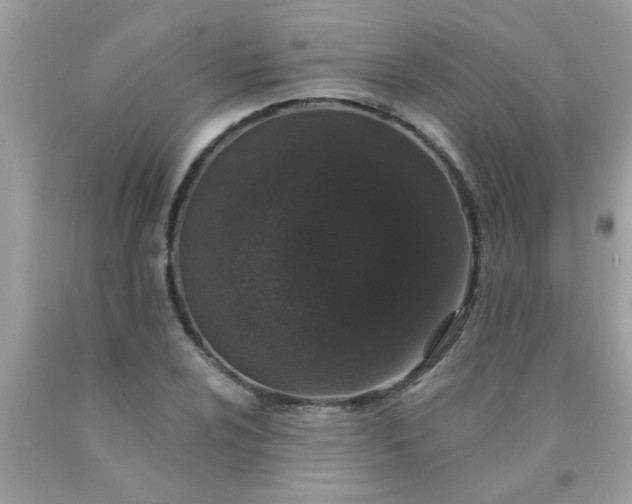 X0000090501024200707272357