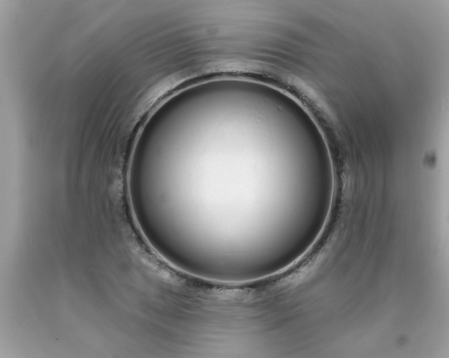 X0000090501025200707272357