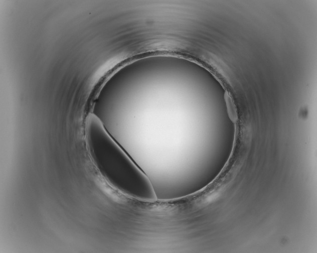 X0000090501026200707272357