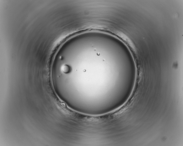 X0000090501027200707272357