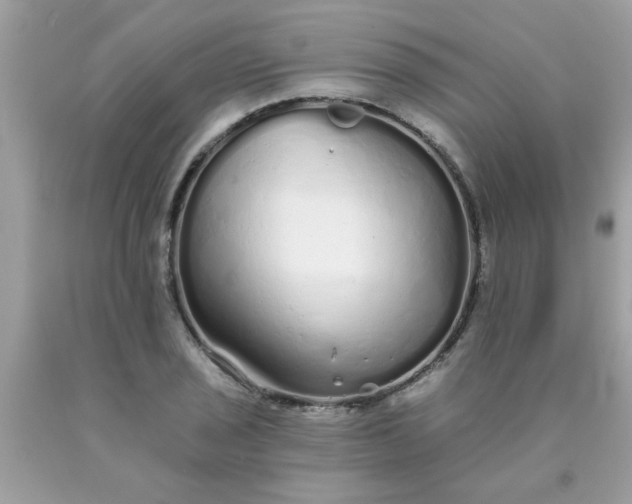 X0000090501029200707272357