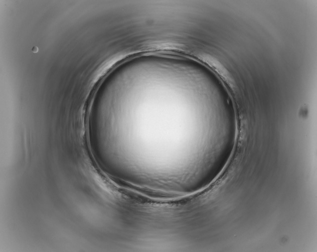 X0000090501031200707272357