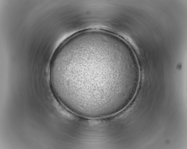 X0000090501032200707272357