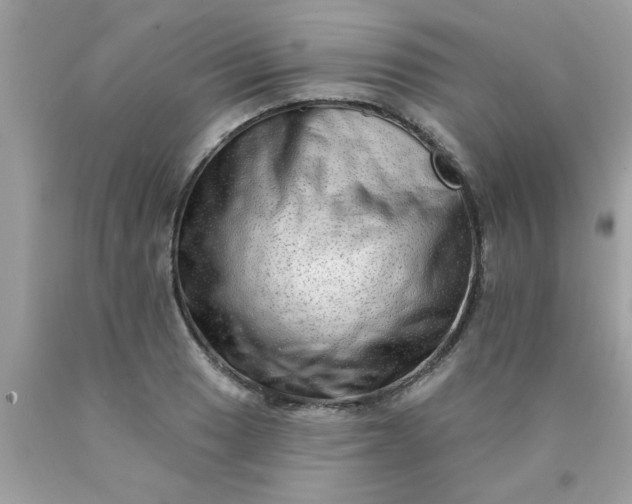 X0000090501033200707272357