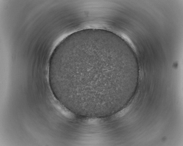 X0000090501035200707272357