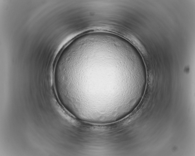 X0000090501036200707272357