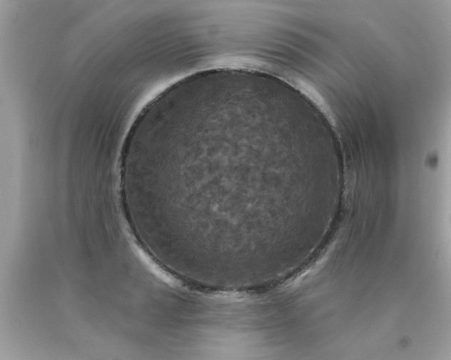 X0000090501037200707272357