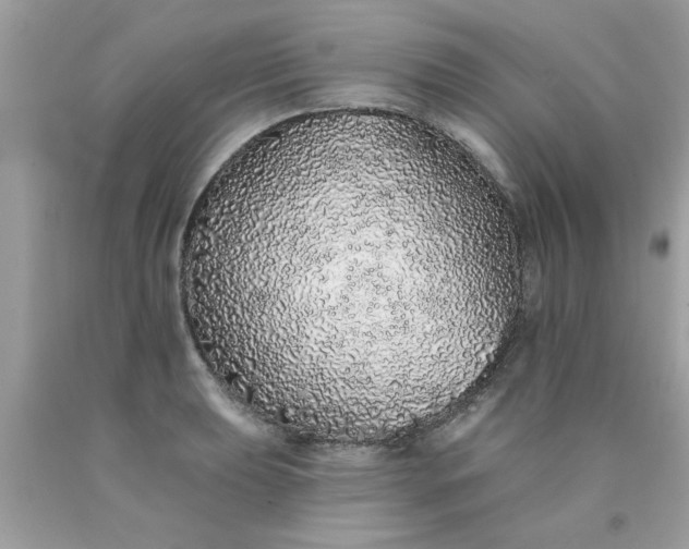 X0000090501039200707272357