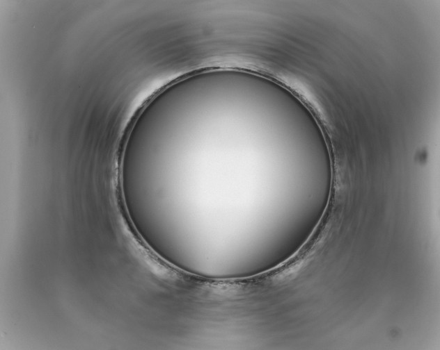 X0000090501040200707272357