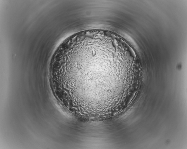 X0000090501043200707272357