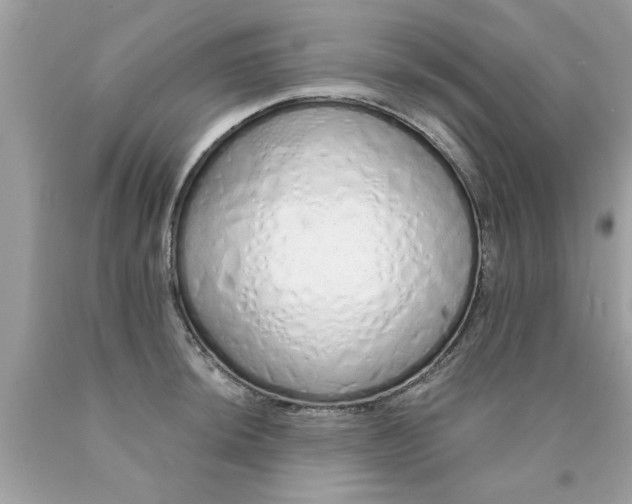 X0000090501044200707272357