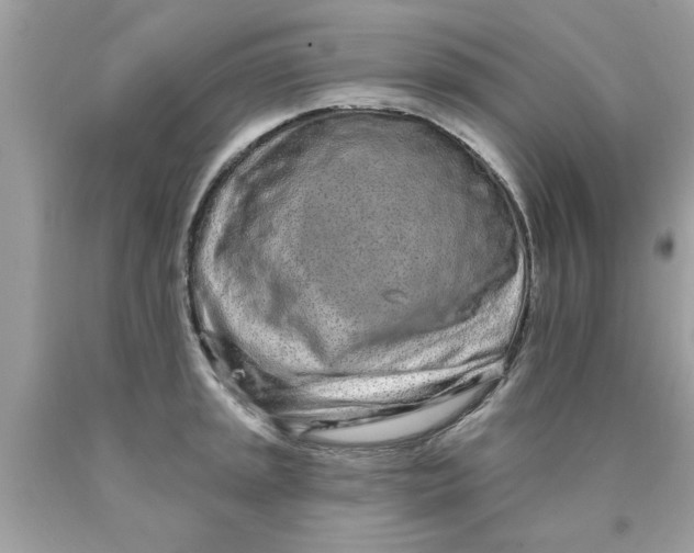 X0000090501045200707272357