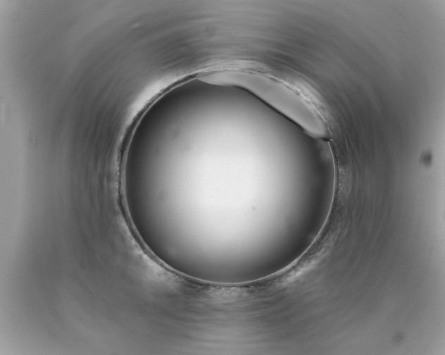 X0000090501046200707272357