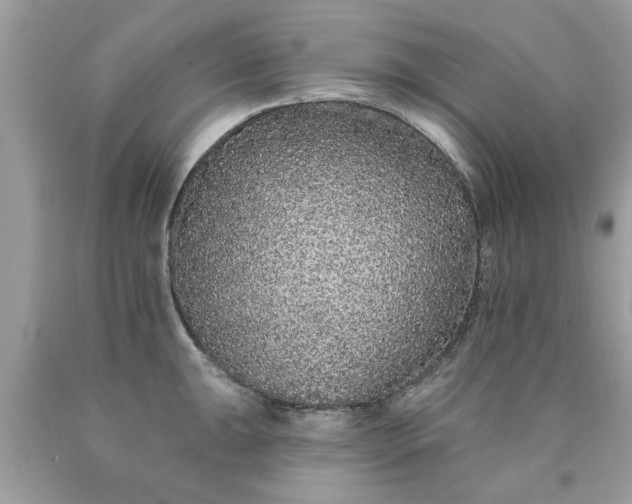 X0000090501047200707272357