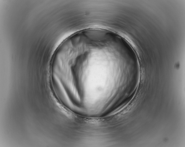 X0000090501048200707272357