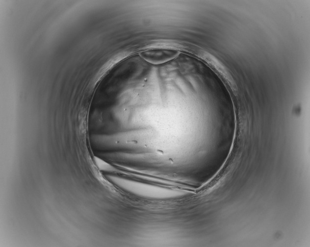 X0000090501049200707272357