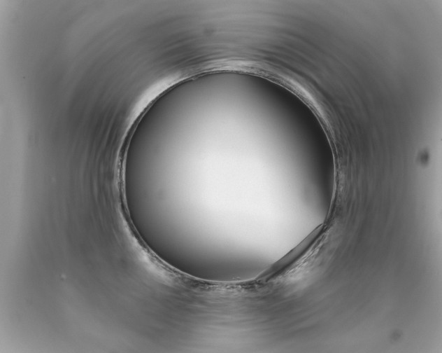 X0000090501050200707272357