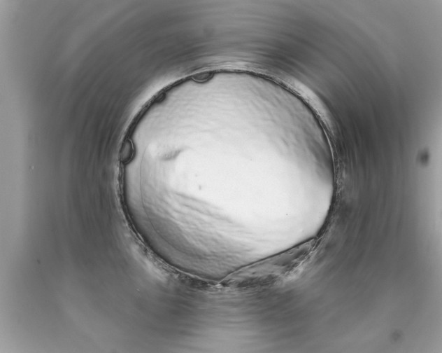 X0000090501051200707272357