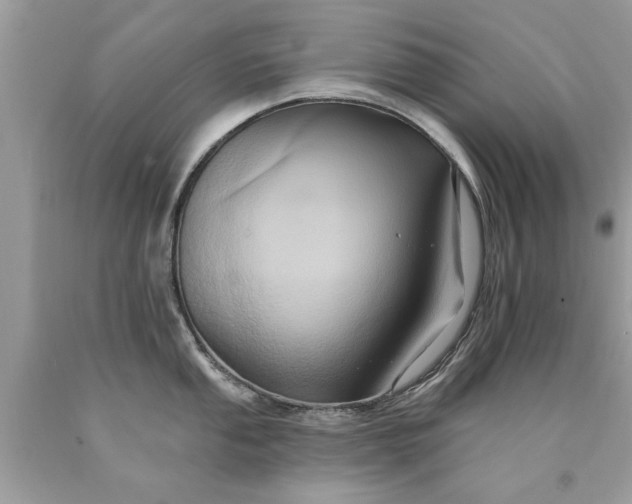 X0000090501053200707272357