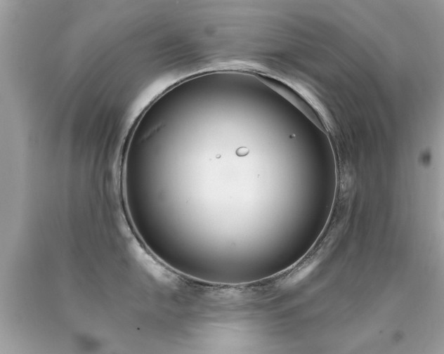 X0000090501054200707272357