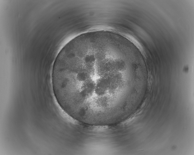 X0000090501055200707272357