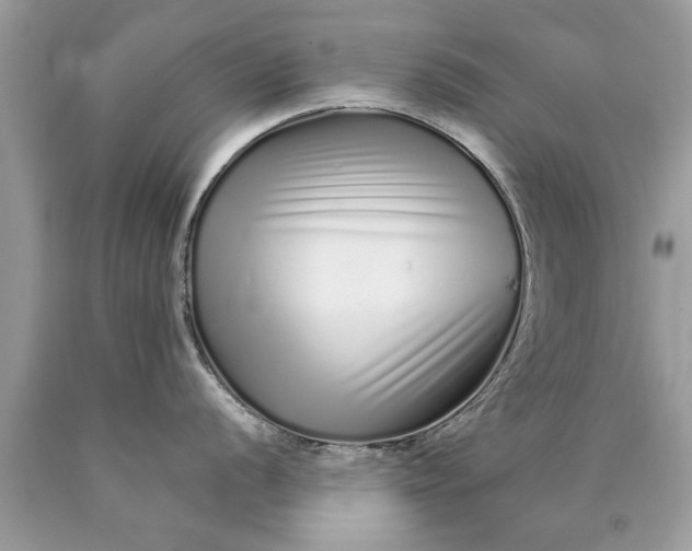 X0000090501056200707272357