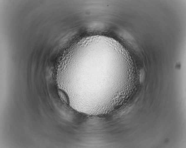 X0000090501059200707272357