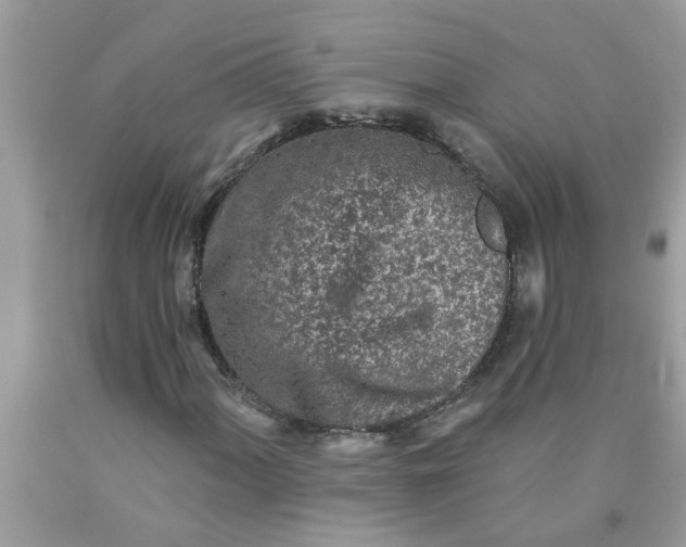 X0000090501060200707272357