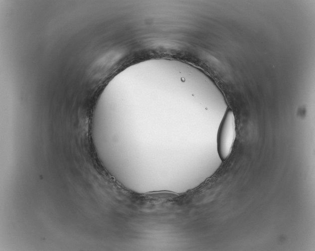 X0000090501061200707272357